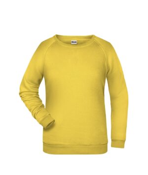 Pullover Damen Grau – Ladies' Promo Sweat