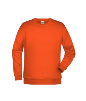 Pullover Herren Grau – Men's Promo Sweat