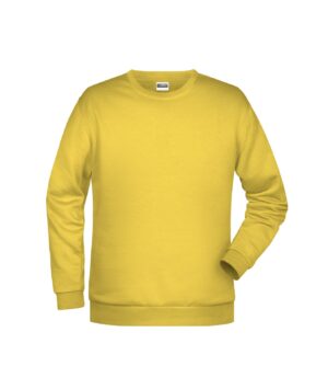 Pullover Herren Grau – Men's Promo Sweat