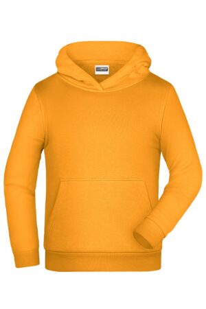 Pullover Kinder Grau – Children Promo Hoody