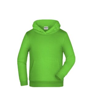 Pullover Kinder Grau – Children Promo Hoody
