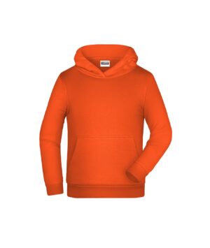 Pullover Kinder Grau – Children Promo Hoody
