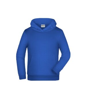Pullover Kinder Grau – Children Promo Hoody