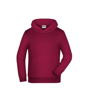Pullover Kinder Grau – Children Promo Hoody