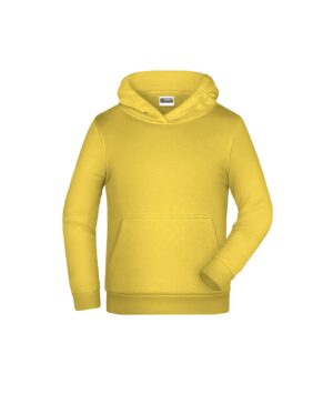 Pullover Kinder Grau – Children Promo Hoody