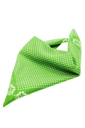 Schal Unisex Grün – Traditional Bandana