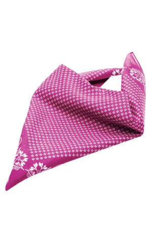 Schal Unisex Grün – Traditional Bandana
