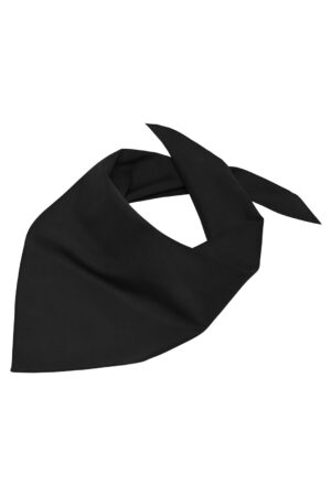 Schal Unisex Schwarz – Triangular Scarf