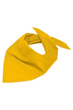 Schal Unisex Schwarz – Triangular Scarf