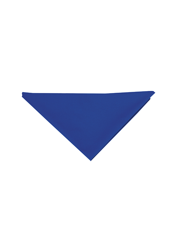 Halstuch Unisex Blau – Halstuch