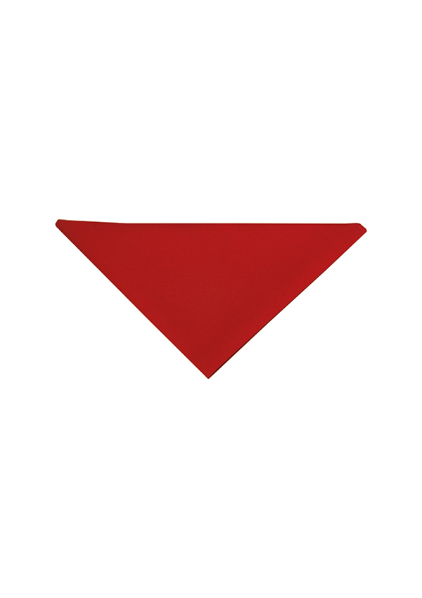 Halstuch Unisex Rot – Halstuch