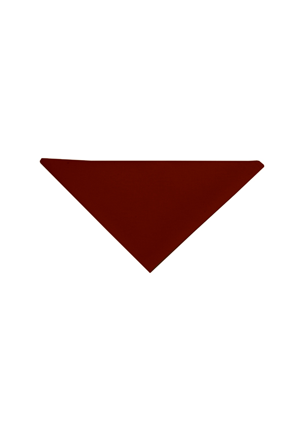 Halstuch Unisex Bordeaux – Halstuch