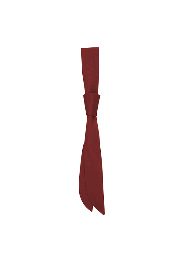 Krawatte Unisex Bordeaux – Serviceschleife