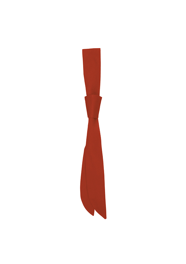 Krawatte Unisex Rot – Serviceschleife
